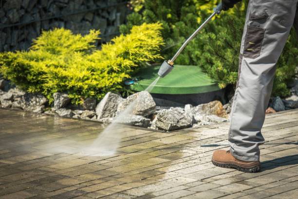 Best Dumpster Area Cleaning  in Stanhope, NJ